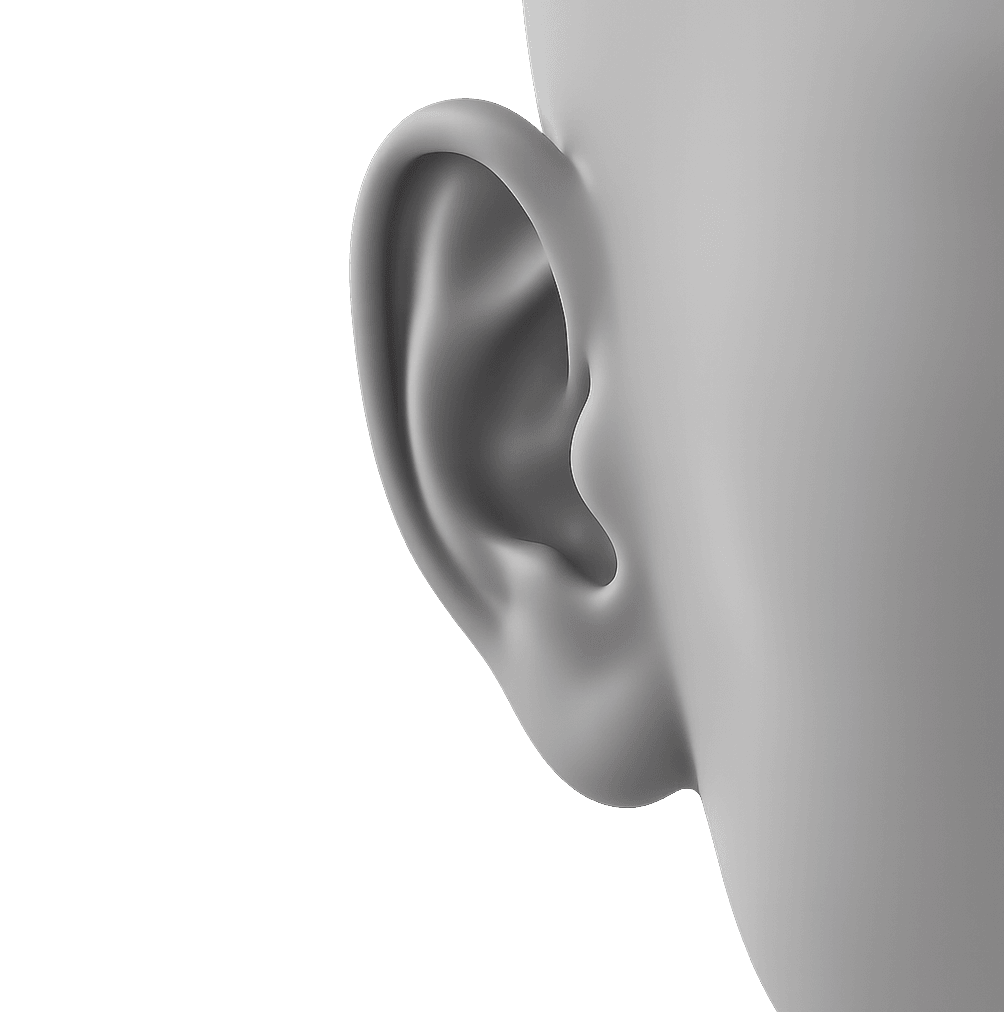 Decorative ear